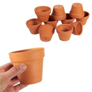 Ceramic Plant Pots