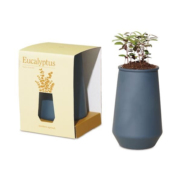 Modern Sprout® Tapered Tumbler Grow Kit