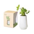 Modern Sprout® Tapered Tumbler Grow Kit | https://www.bestnamebadges.com
