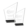 Lynx Award - Black | https://www.bestnamebadges.com