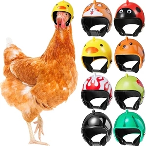 Chicken Helmet