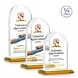 Blake VividPrint™ Award - Amber | https://www.bestnamebadges.com