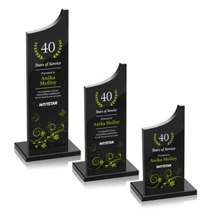 Berratini VividPrint™ Award - Black | https://www.bestnamebadges.com