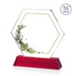 Ralston VividPrint™ Award - Red | https://www.bestnamebadges.com
