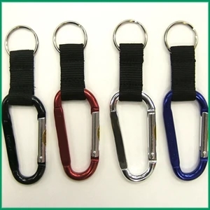 Alta Carabiner Keyring