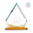 Apex VividPrint™ Award - Amber | https://www.bestnamebadges.com