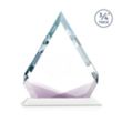 Apex VividPrint™ Award - White | https://www.bestnamebadges.com