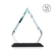 Apex Award - Black | https://www.bestnamebadges.com