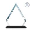 Apex Award - Black | https://www.bestnamebadges.com