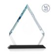 Apex Award - Black | https://www.bestnamebadges.com