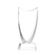 Dawkins Award - Clear | https://www.bestnamebadges.com