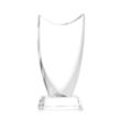 Dawkins Award - Clear | https://www.bestnamebadges.com