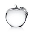 Apple Paperweight | https://www.bestnamebadges.com
