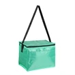 Polyester Zippered Cooler Bag | https://www.bestnamebadges.com