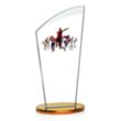 Tomkins VividPrint™ Award - Amber | https://www.bestnamebadges.com