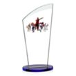 Tomkins VividPrint™ Award - Blue | https://www.bestnamebadges.com