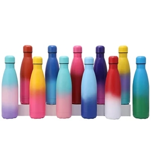 17 OZ. Vacuum Insulated  Stainless Steel Water Bottle