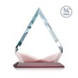 Apex VividPrint™ Award - Albion™ | https://www.bestnamebadges.com