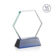 Pickering Award on Newhaven - Blue | https://www.bestnamebadges.com