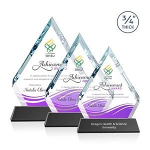 Apex VividPrint™ Award on Newhaven Base - Black | https://www.bestnamebadges.com