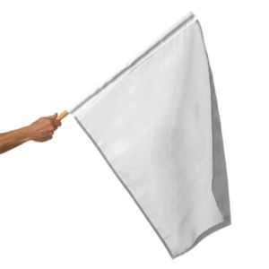 Motorcycle Racing Flags 30