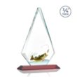 Windsor VividPrint™ Award - Red | https://www.bestnamebadges.com