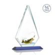 Windsor VividPrint™ Award - Blue | https://www.bestnamebadges.com