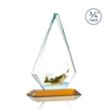 Windsor VividPrint™ Award - Amber | https://www.bestnamebadges.com