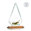 Windsor VividPrint™ Award - Amber | https://www.bestnamebadges.com