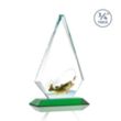 Windsor VividPrint™ Award - Green | https://www.bestnamebadges.com