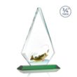 Windsor VividPrint™ Award - Green | https://www.bestnamebadges.com