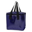 Major Metallic Cooler Bag | https://www.bestnamebadges.com