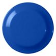Small Discus | https://www.bestnamebadges.com