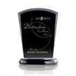 Solomon Award | https://www.bestnamebadges.com