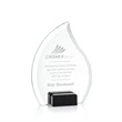 Romy Award - Black | https://www.bestnamebadges.com