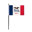 4"x6" & 12"x18'' Iowa ePoly Printed Stick Flags | https://www.bestnamebadges.com