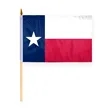 4"x6" & 12"x18'' Texas ePoly Printed Stick Flags | https://www.bestnamebadges.com