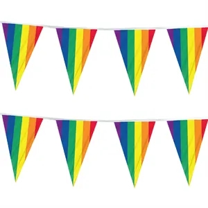 Rainbow Pennant 60' Streamer