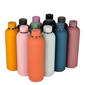 17OZ Double Wall Water Bottle