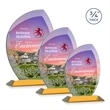 Wichita VividPrint™ Award - Amber | https://www.bestnamebadges.com