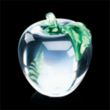 Apple Award | https://www.bestnamebadges.com