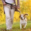 Pet Training Treat Pouch | https://www.bestnamebadges.com