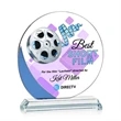 Gedding VividPrint™ Award - Blue | https://www.bestnamebadges.com