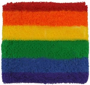 Heavyweight Rainbow Pride Wristband w/ Transfer or Applique