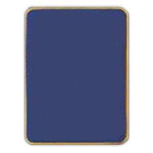 Enhanced Cloisonne Steel Lapel Pin