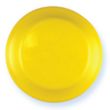 Flying Disc (9") - MADE IN USA | https://www.bestnamebadges.com